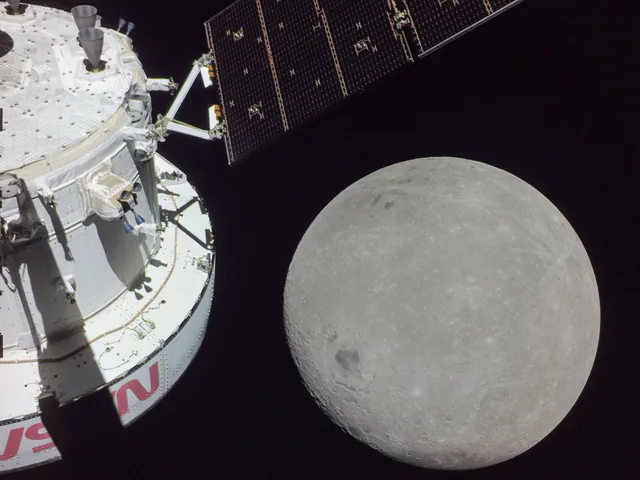 El lanzador móvil del SLS durante los preparativos de Artemis.