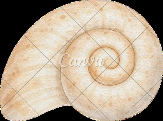 Imagen asociada a la espiral de Phi y a la reflexión sobre la memoria cósmica.